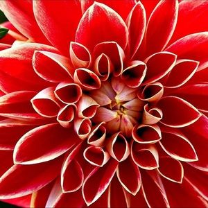 Meet your Posher, Connie